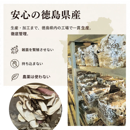 敬老の日ギフトセット