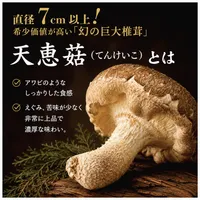 敬老の日ギフトセット