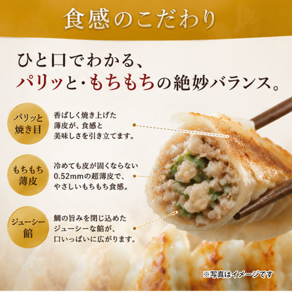 鯛香る餃子